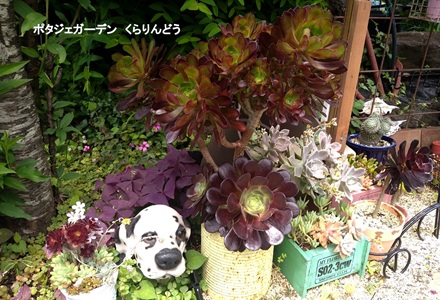 20250116201411001.jpg 村木２.jpg